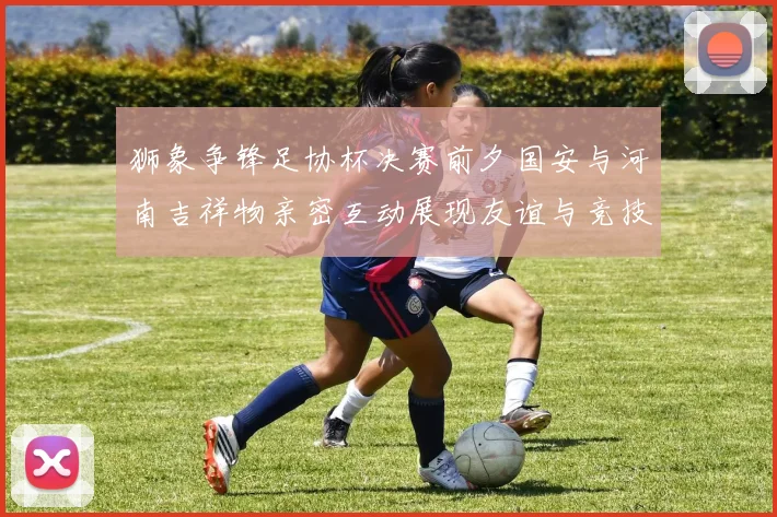 狮象争锋足协杯决赛前夕国安与河南吉祥物亲密互动展现友谊与竞技精神